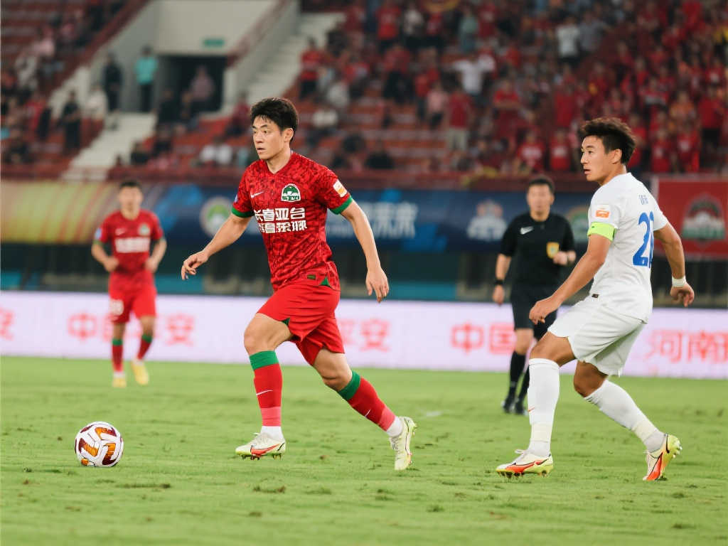 面提高了球 面提高了球